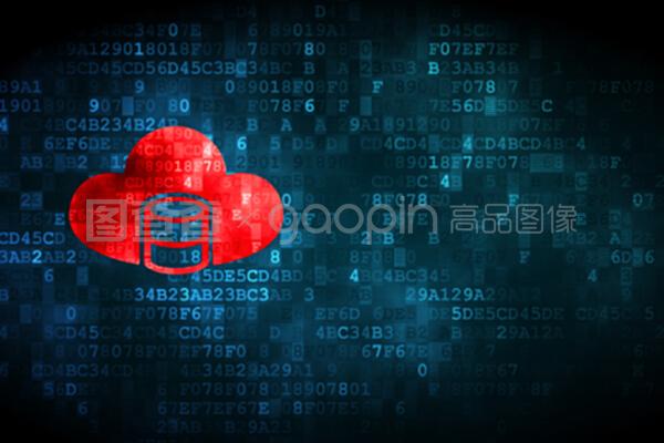 數字時代的數據基石 數據庫、網絡信息安全與軟件開發